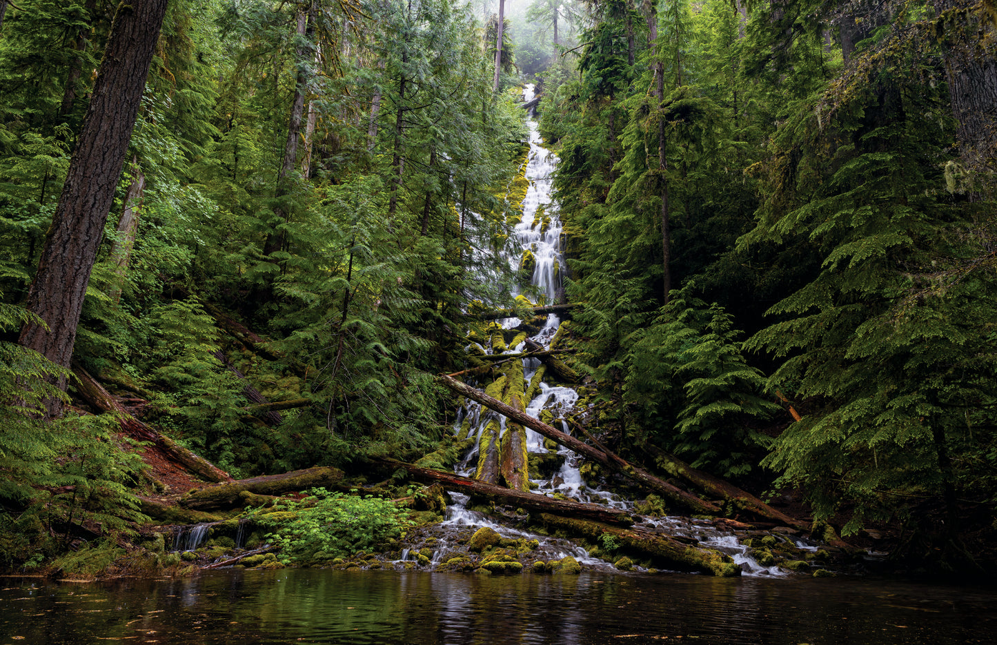 Underrated Majesty - Upper Proxy Falls