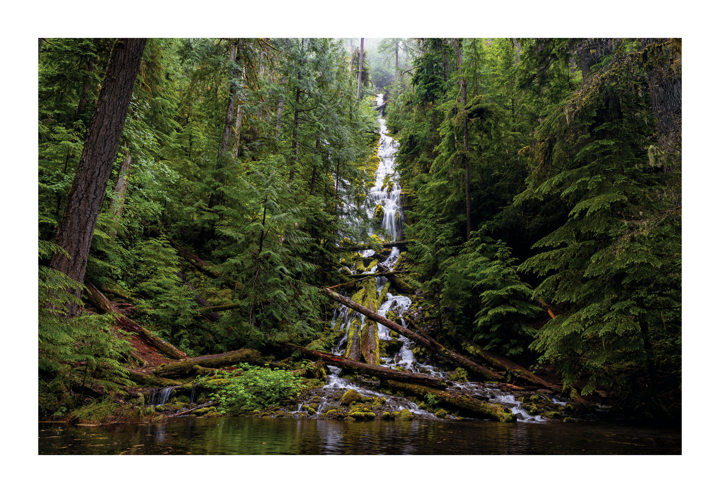 Underrated Majesty - Upper Proxy Falls